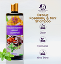 Rosemary & Mint Shampoo